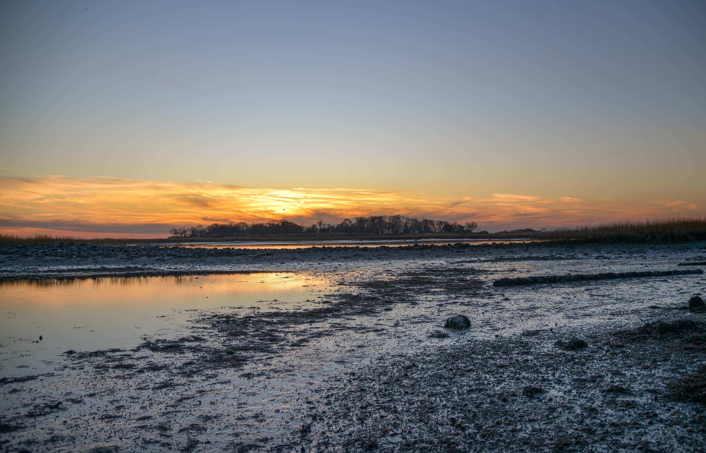 Low Tide